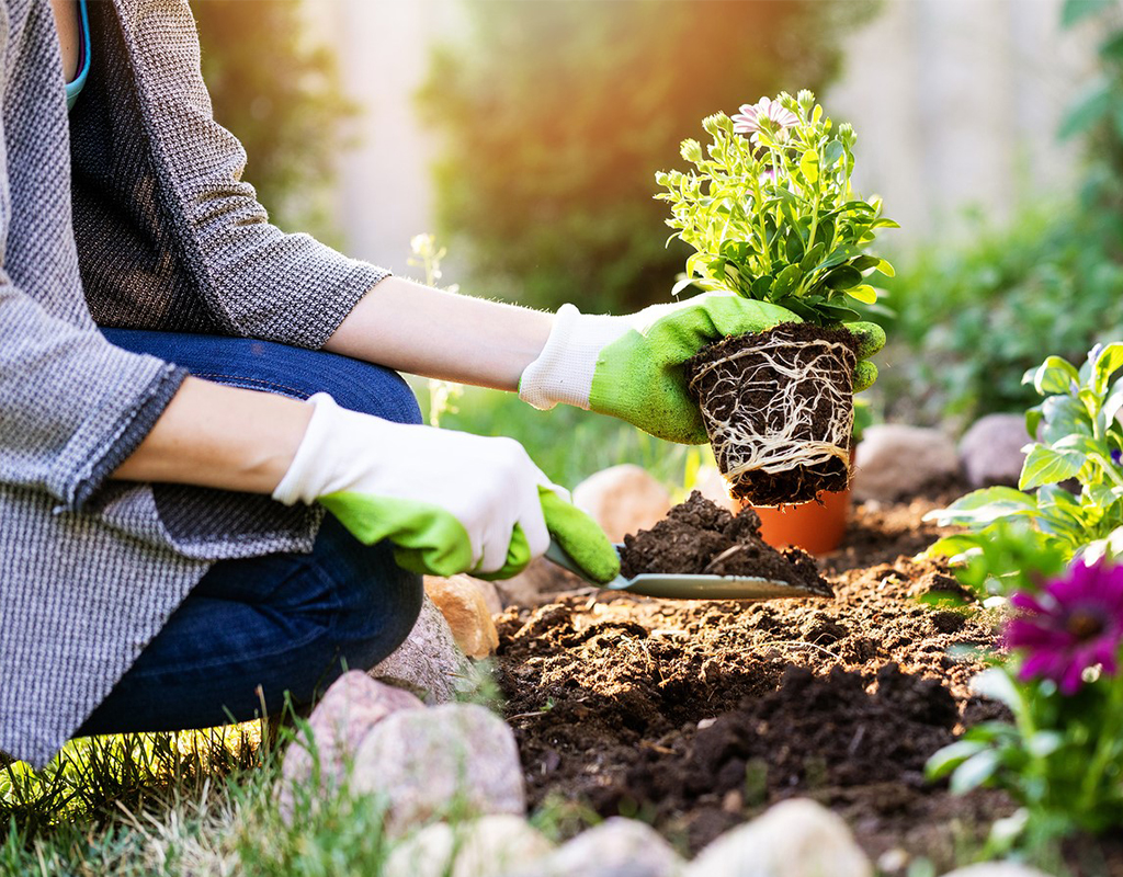 tips and tricks of gardening